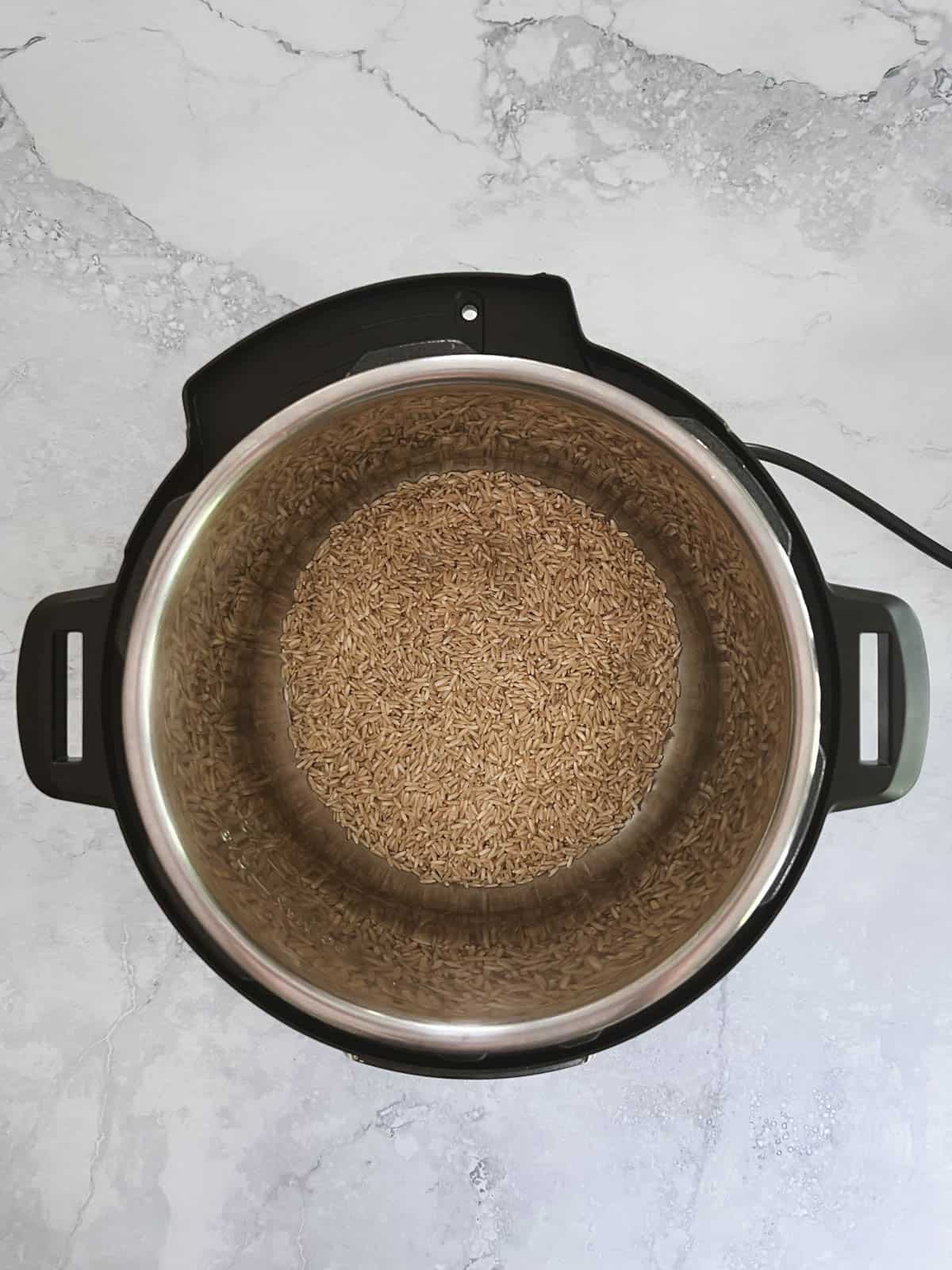 overhead view of Instant Pot containing uncooked brown rice