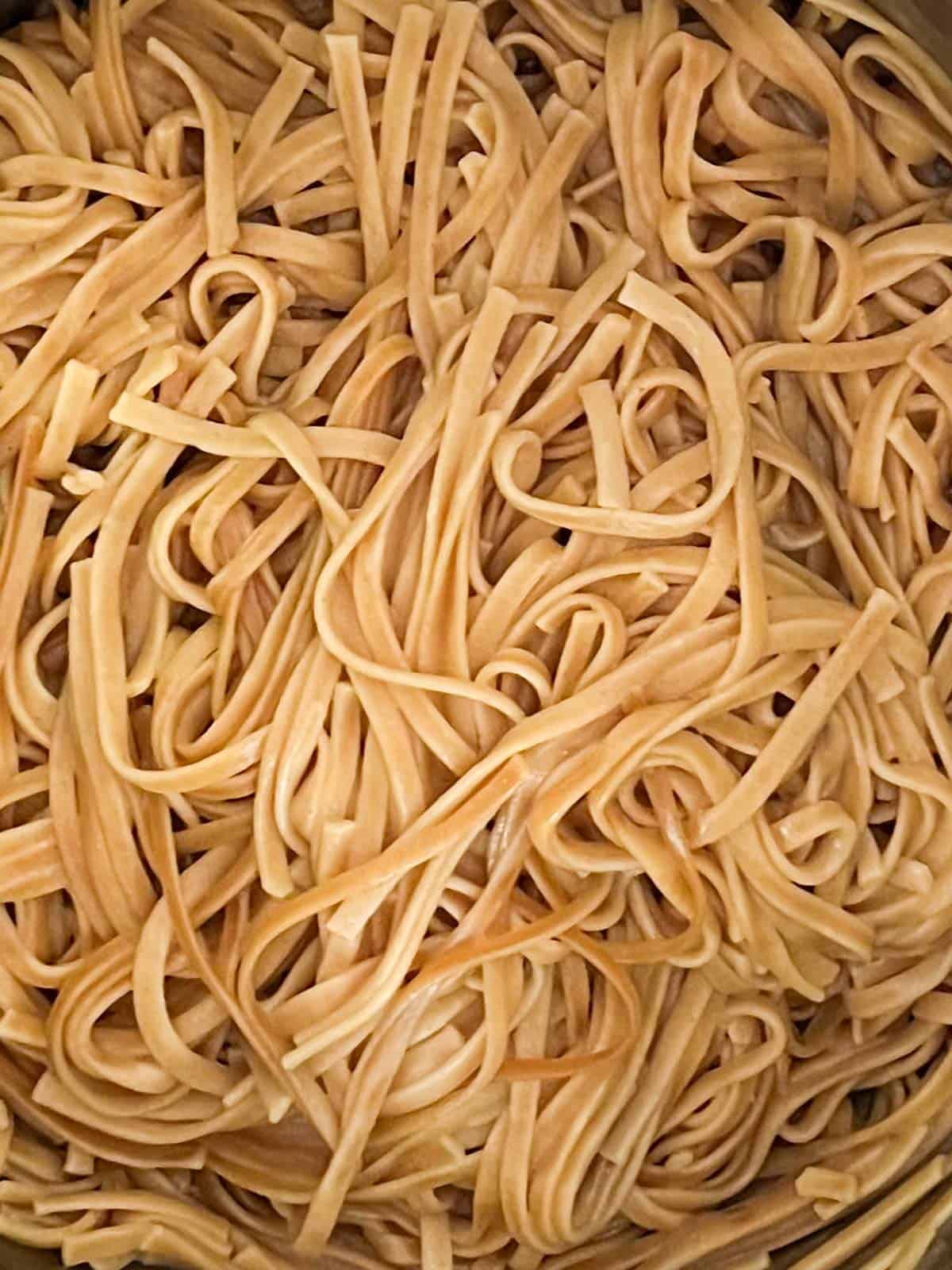 close up of cooked linguine