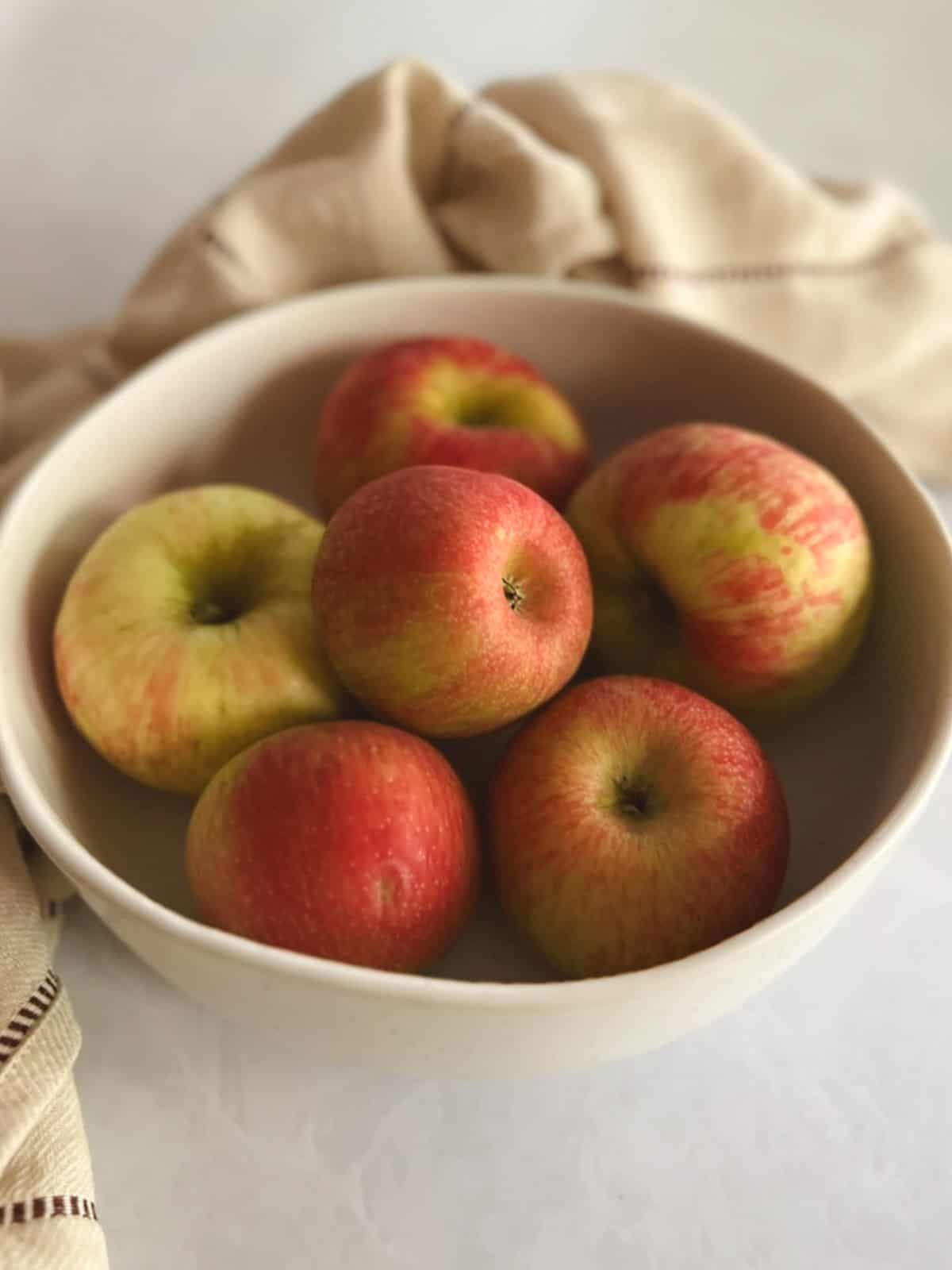 large bowl of Honeycrisp apples