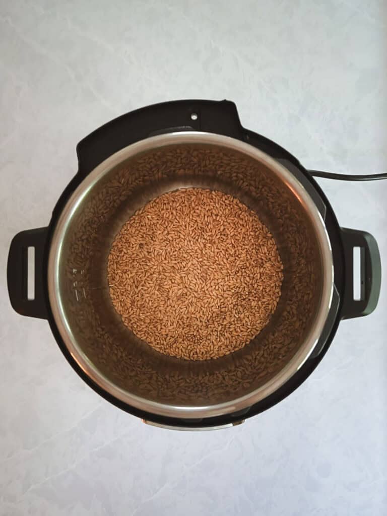 overhead view of uncooked farro in an instant pot