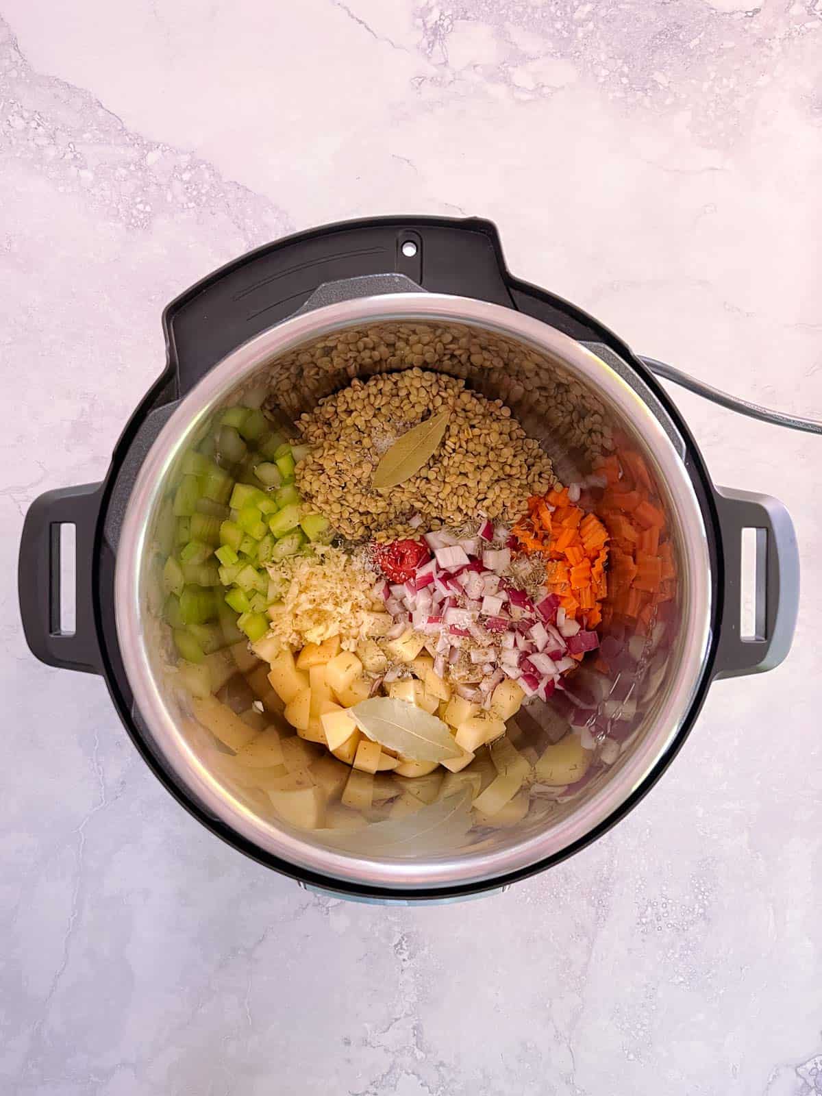 overhead of unmixed ingredients in instant pot