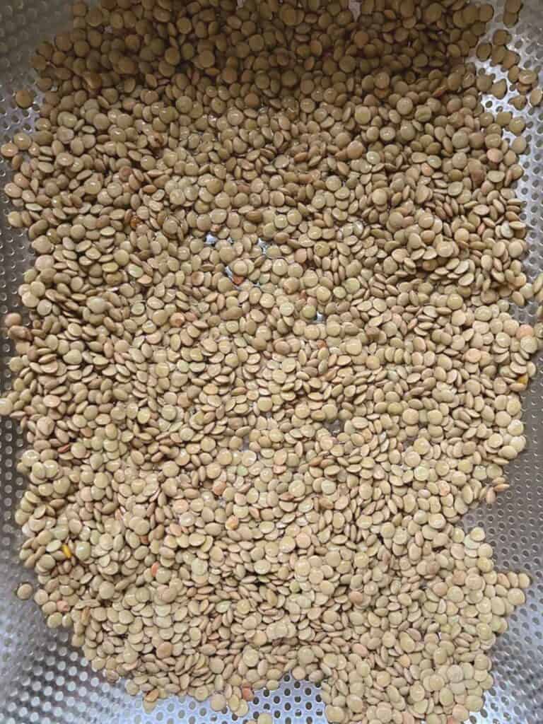 uncooked lentils spread out in a colander