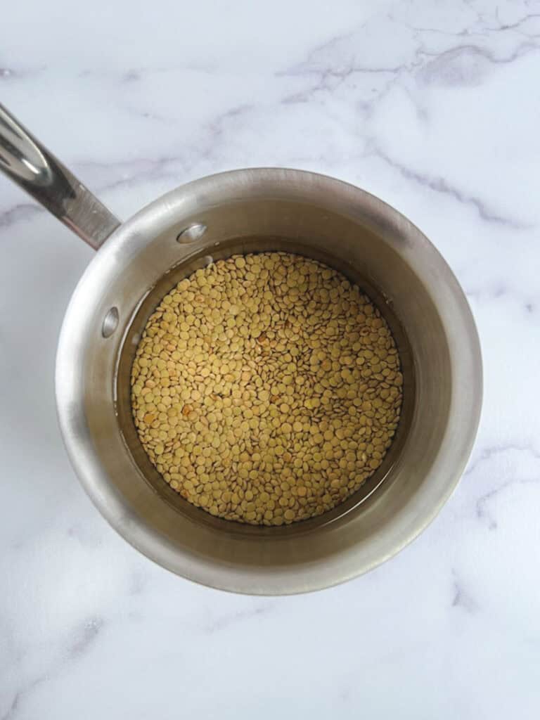 overhead view of medium pot containing uncooked lentils and water