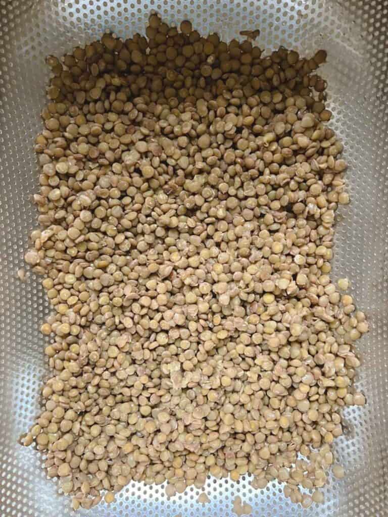 cooked lentils draining in a colander