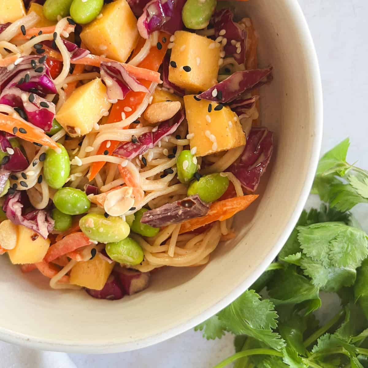 bowl of mango noodle salad with peanut dressing next to fresh cilantro