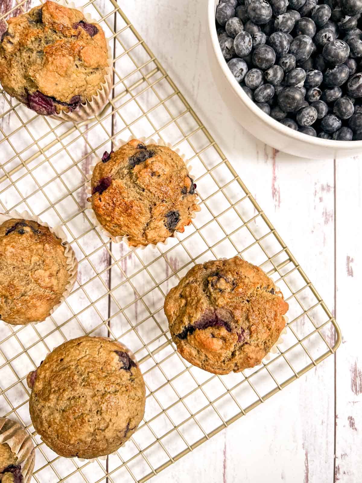 Blueberry muffins on a cooling rack.